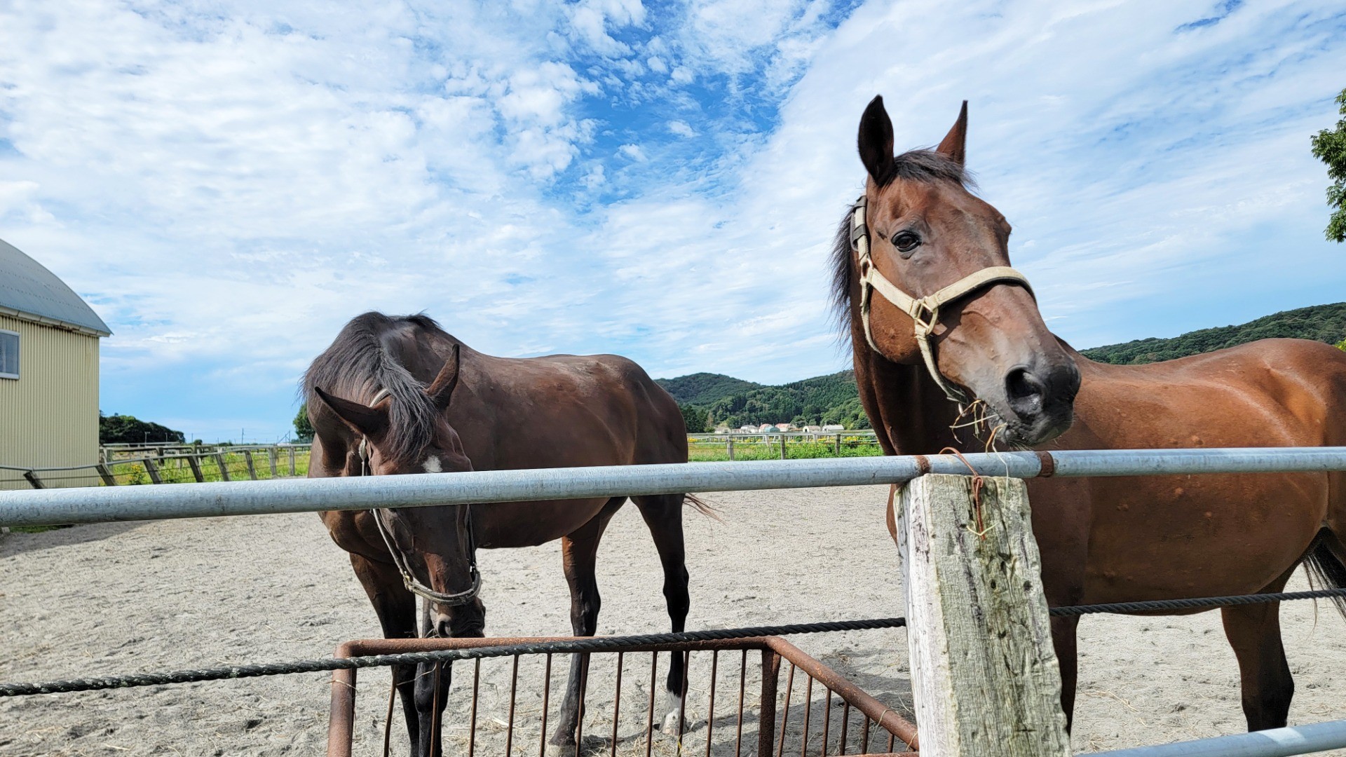 336886d2772d014d4e6d278c850bbc52-1760934066.jpg 336886d2772d014d4e6d278c850bbc52-1760934066.jpg